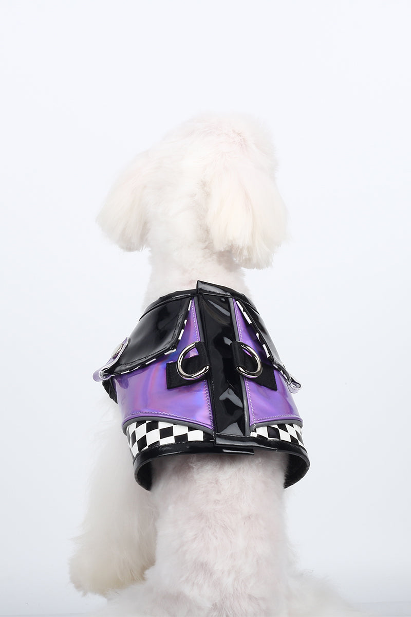 BITEONE™ Silver Fantasy Venice - Dress to Impress: Shop Fashion-Forward Pet Outfits Today! （Bring the perfect combination of fashion and comfort to your pet! ）