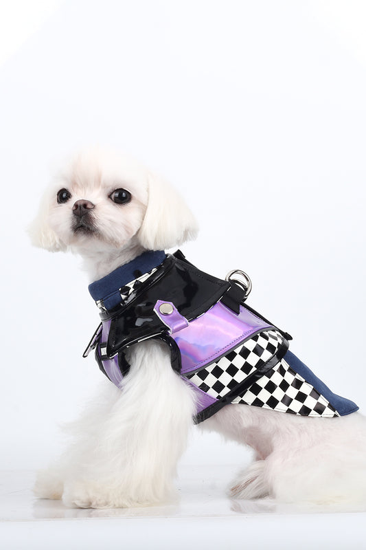 BITEONE™ Silver Fantasy Venice - Dress to Impress: Shop Fashion-Forward Pet Outfits Today! （Bring the perfect combination of fashion and comfort to your pet! ）