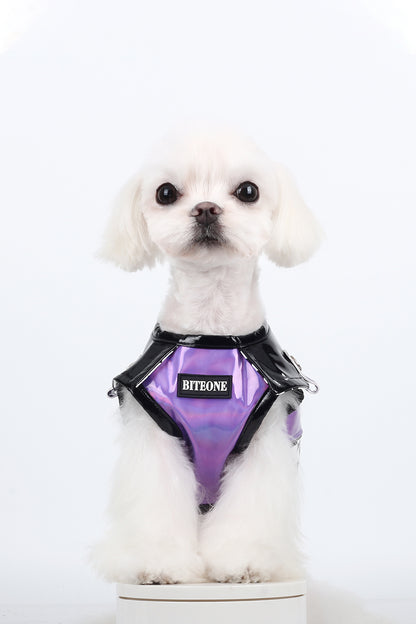 BITEONE™ Silver Fantasy Venice - Dress to Impress: Shop Fashion-Forward Pet Outfits Today! （Bring the perfect combination of fashion and comfort to your pet! ）