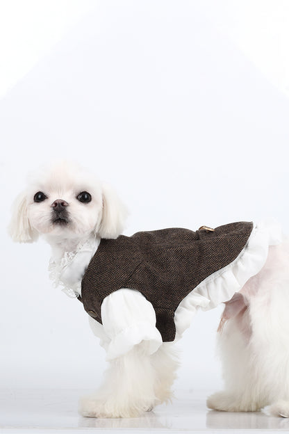 BITEONE™ St. John - Stay Warm, Stay Cute—Pet Jackets for the Cool Weather!（Bring the perfect combination of fashion and comfort to your pet! ）