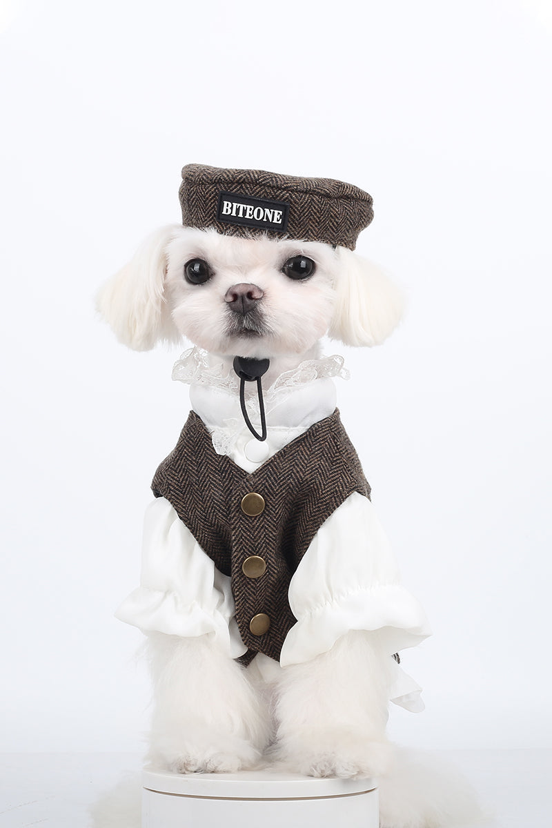 BITEONE™ St. John - Stay Warm, Stay Cute—Pet Jackets for the Cool Weather!（Bring the perfect combination of fashion and comfort to your pet! ）