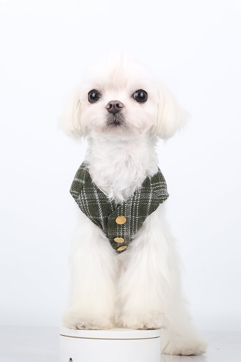 BITEONE™ Slytherin - Cute, Cozy, and Comfortable—The Ultimate Pet Clothing Collection! （Bring the perfect combination of fashion and comfort to your pet! ）