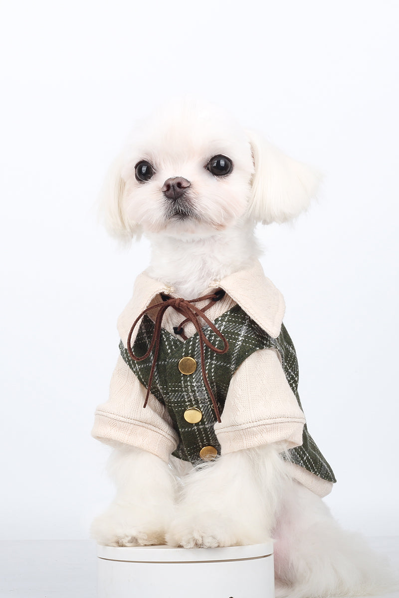 BITEONE™ Slytherin - Cute, Cozy, and Comfortable—The Ultimate Pet Clothing Collection! （Bring the perfect combination of fashion and comfort to your pet! ）