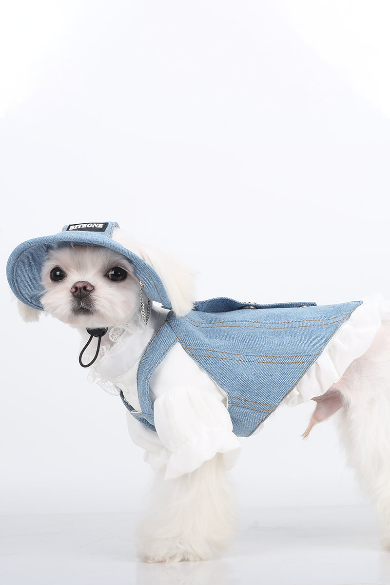 BITEONE™ Rainy Night Poet - Tailored for Comfort, Designed for Style—Pet Clothes for Every Pet! （Bring the perfect combination of fashion and comfort to your pet! ）