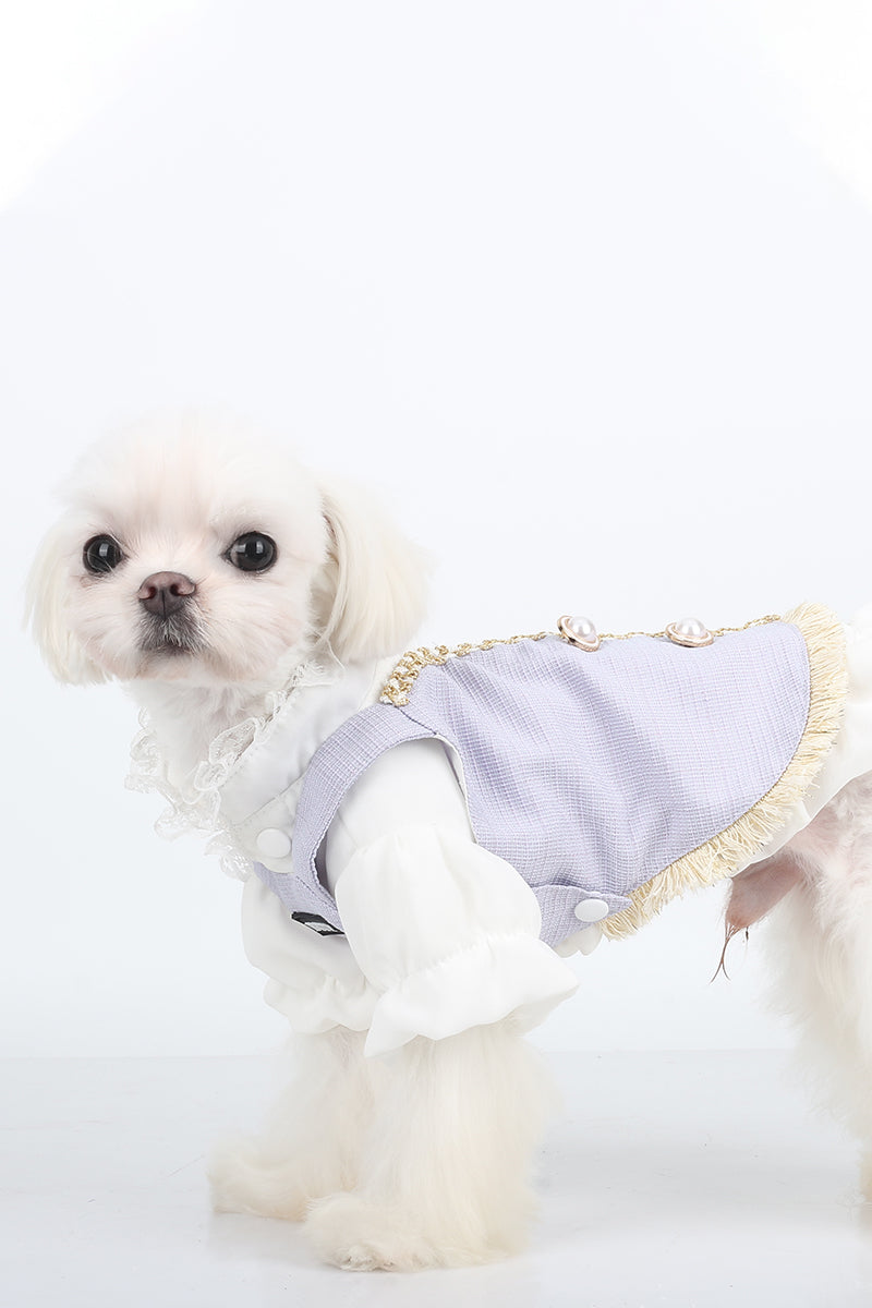 BITEONE™ Rainy Night Poet - Tailored for Comfort, Designed for Style—Pet Clothes for Every Pet! （Bring the perfect combination of fashion and comfort to your pet! ）