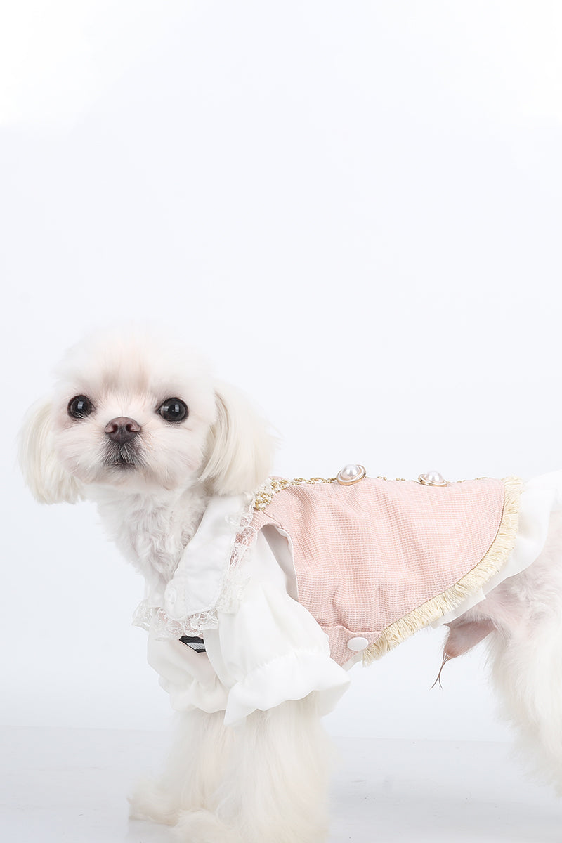 BITEONE™ Rainy Night Poet - Tailored for Comfort, Designed for Style—Pet Clothes for Every Pet! （Bring the perfect combination of fashion and comfort to your pet! ）